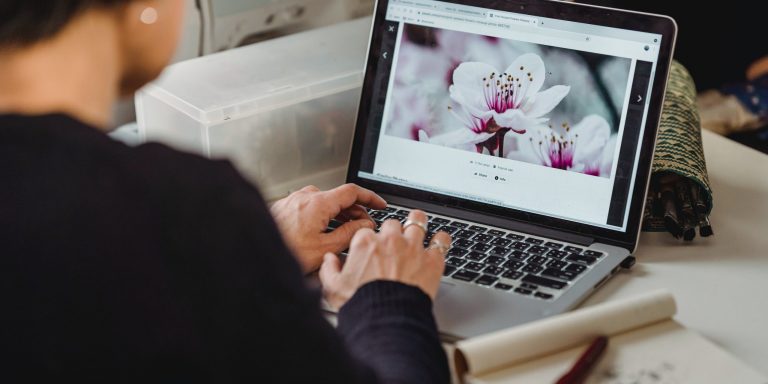 bing-adds-image-search-filter-for-usage-rights