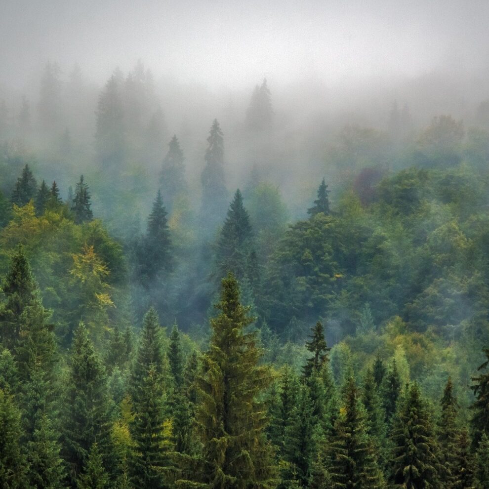 about-com-is-gone-but-its-evergreen-content-will-persevere
