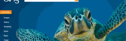bing-image-search3